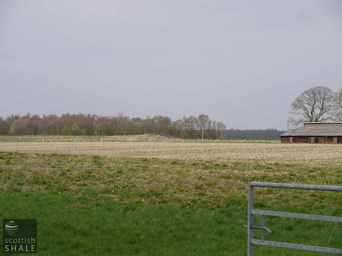 P1040342.JPG