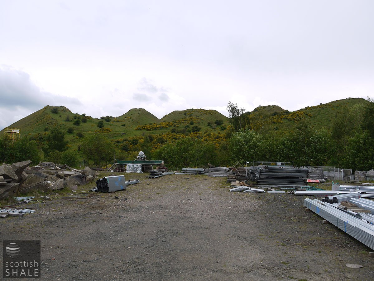P1050085.JPG