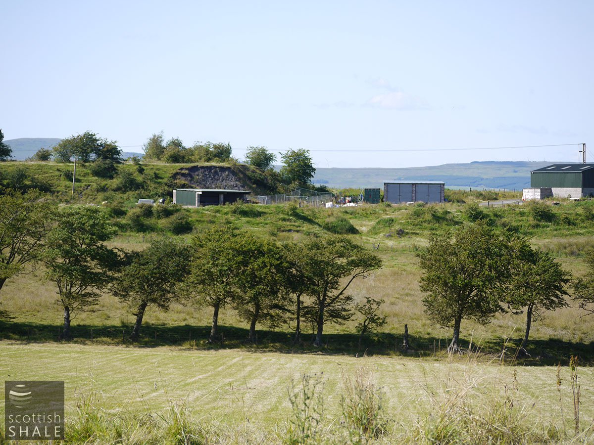 P1050574.JPG