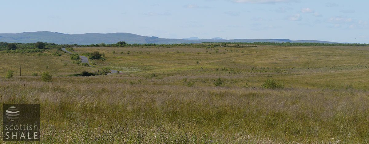 P1050580.JPG