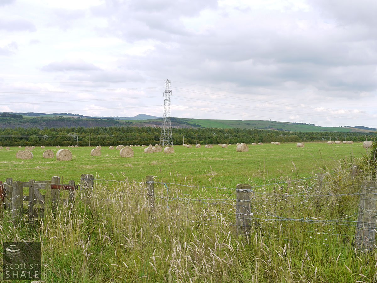 P1050636.JPG
