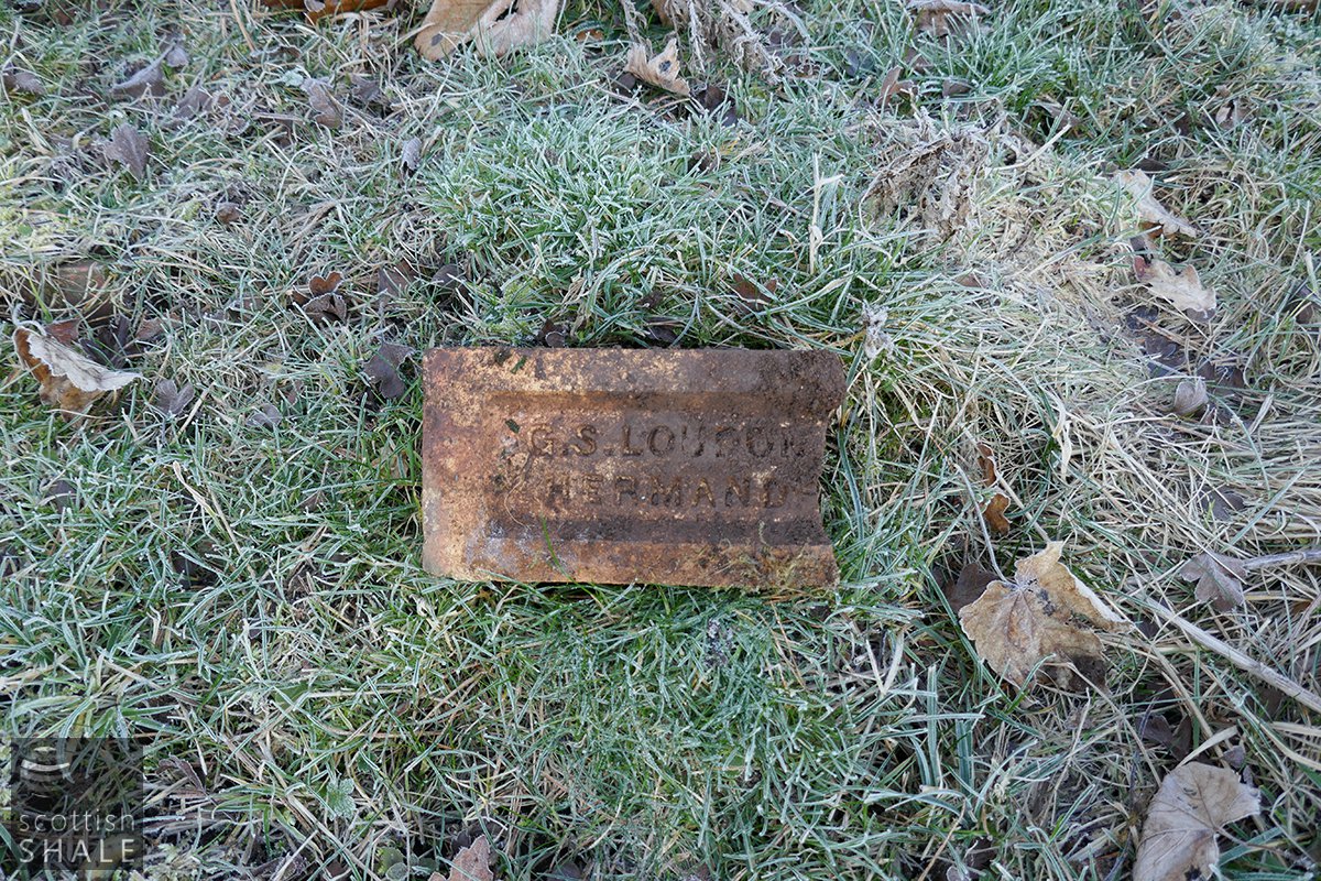 P1050645.JPG