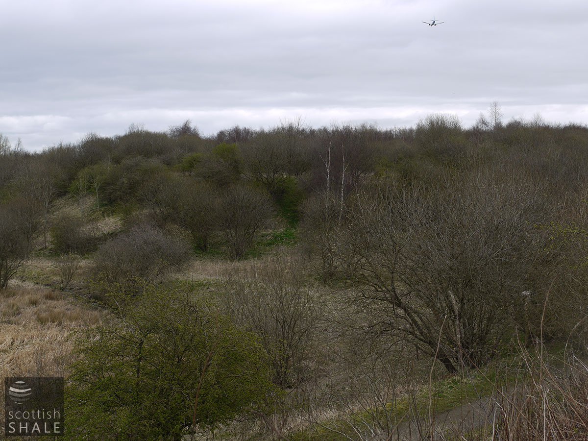 P1060465.JPG