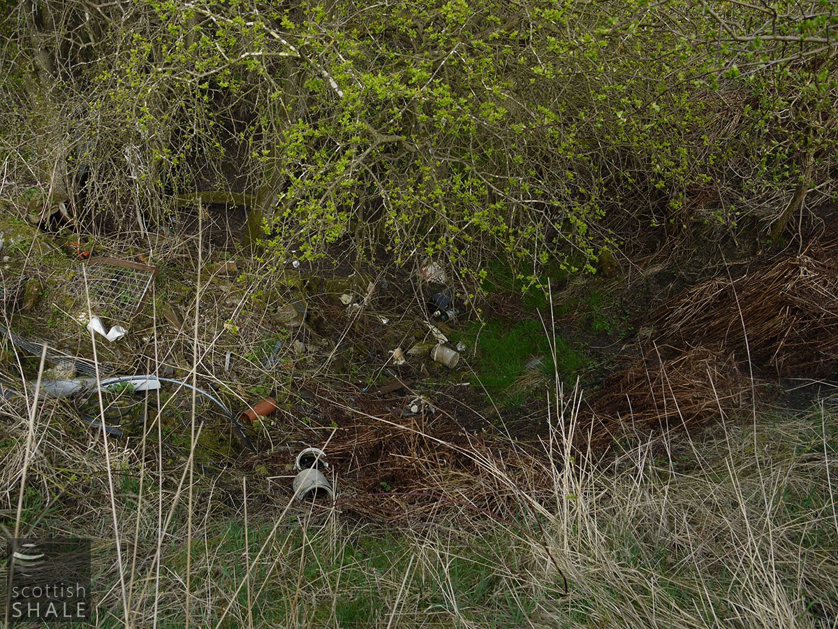 P1060636.JPG