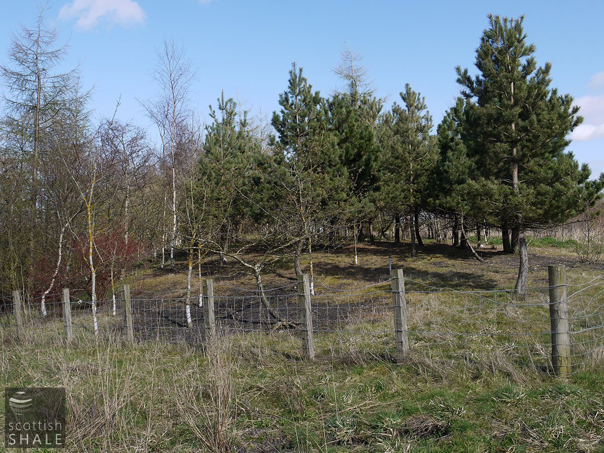 P1060739.JPG