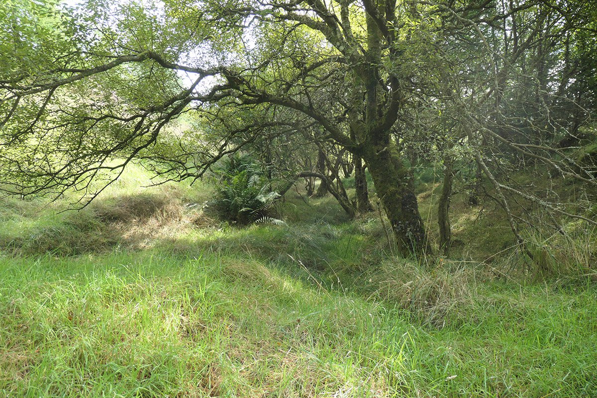 P1096003