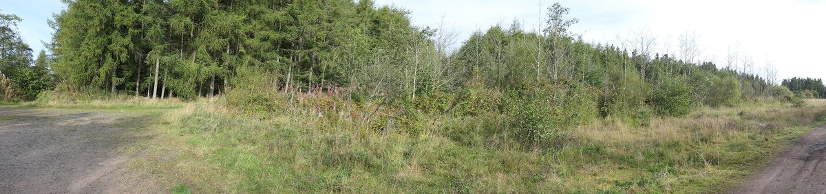 P1096663