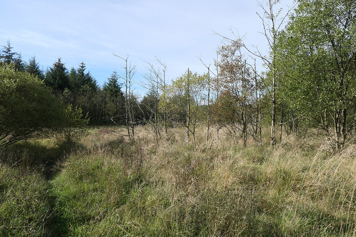 Fauldhouse No.8 pit