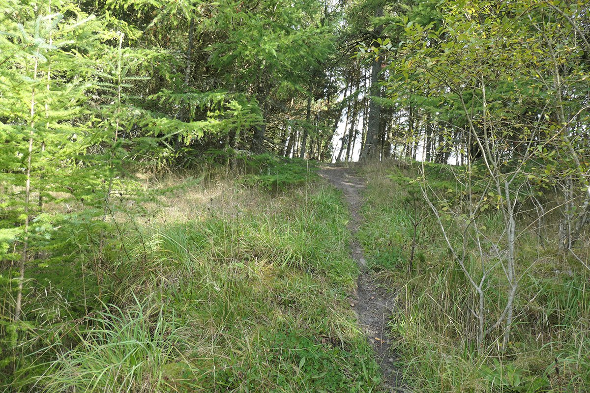 Fauldhouse No.8 pit