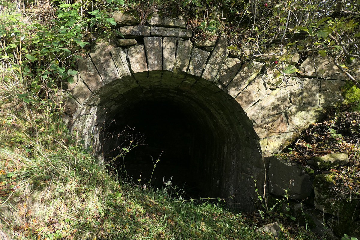 P1097519