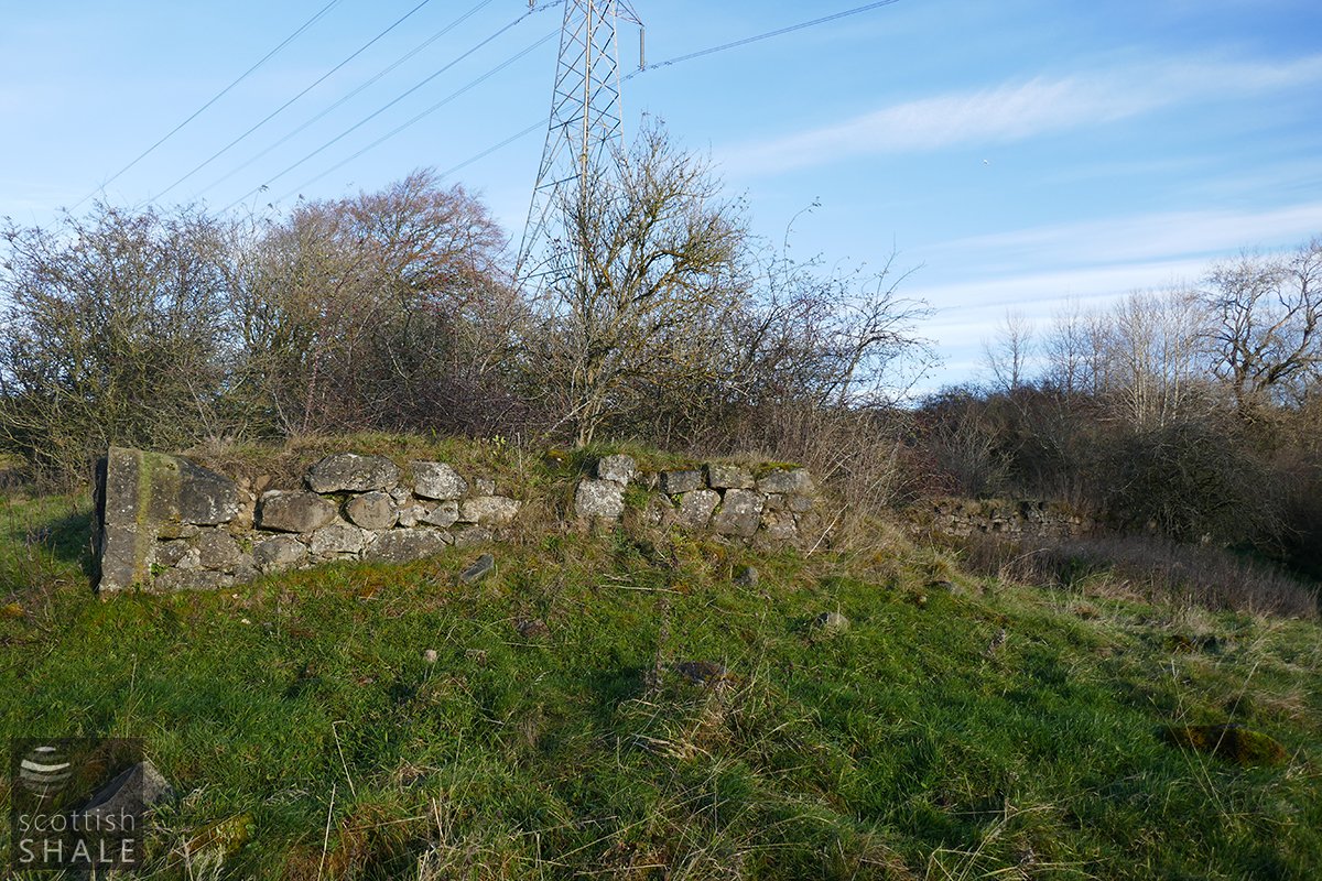 P1120134.jpg