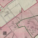 T217176.jpg