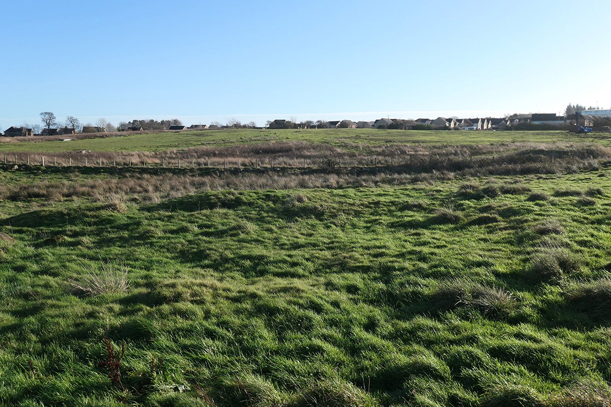 Wood pit 1