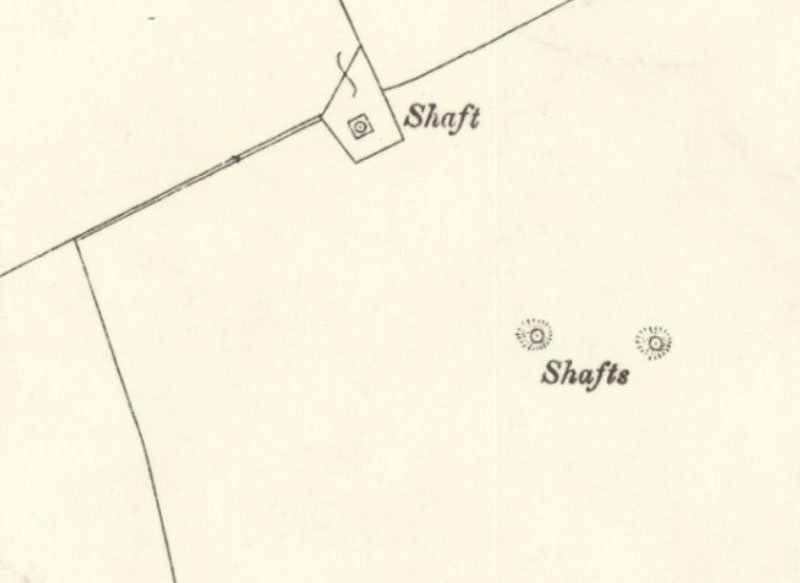 bd6781893.jpg