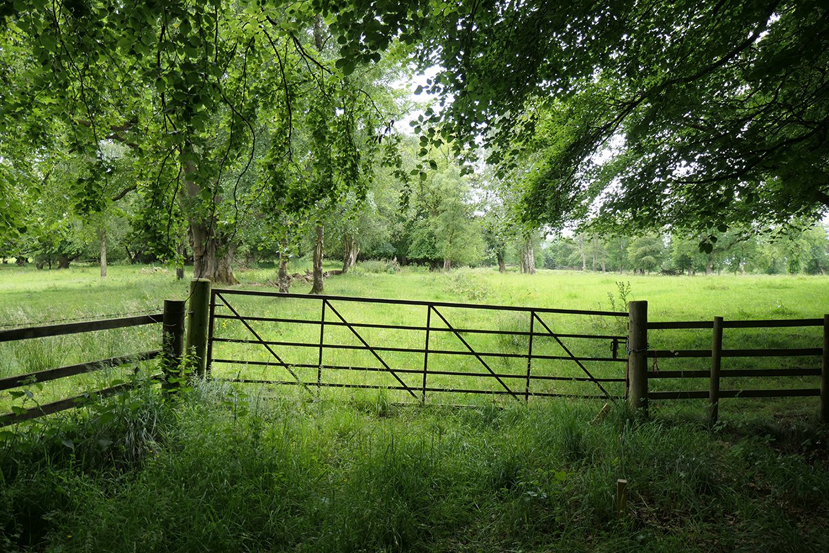 boghead house 9