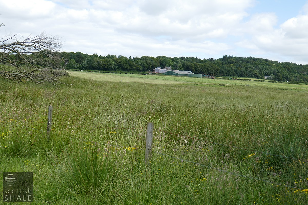 broompark 2.png