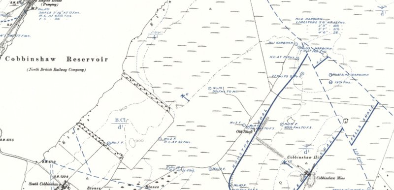 cobbinshaw geology.jpg