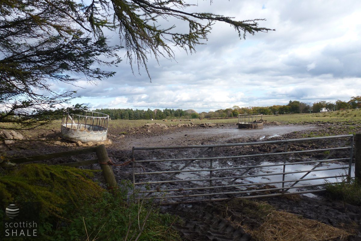 cuthill24coalmineRECENT44.jpg
