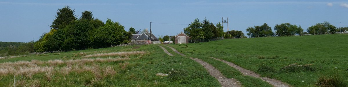 east handaxwood