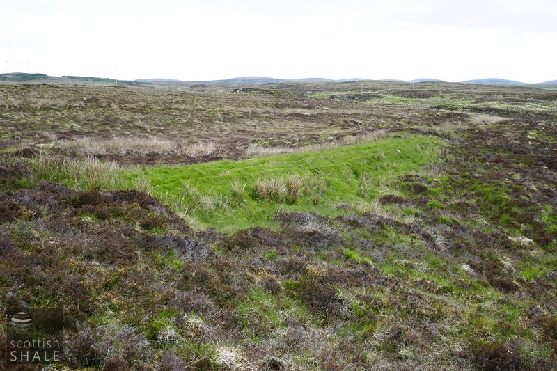 lews4.jpg
