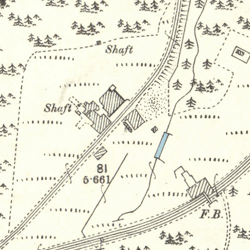 romancamp1mine.jpg