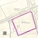 t217025.jpg