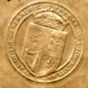 t217167.jpg