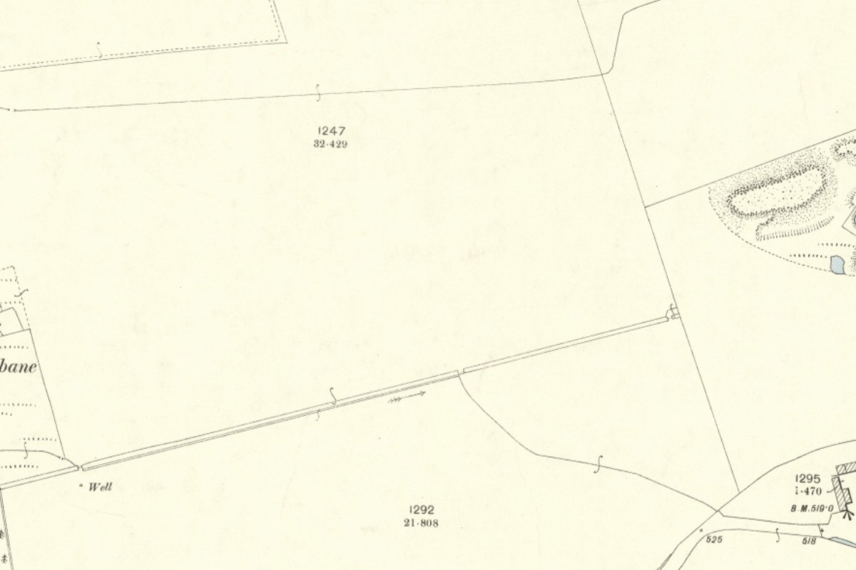 torbane 1 1895