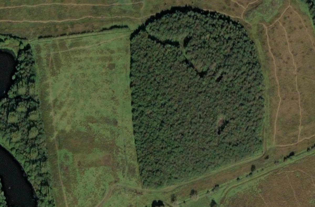 torbane 2 aerial