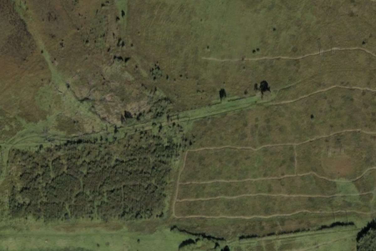 torbane aerial